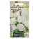 Seeds of flowers Pelargonium "Danser White", zonal, this. ALT, c/n, 4 pcs