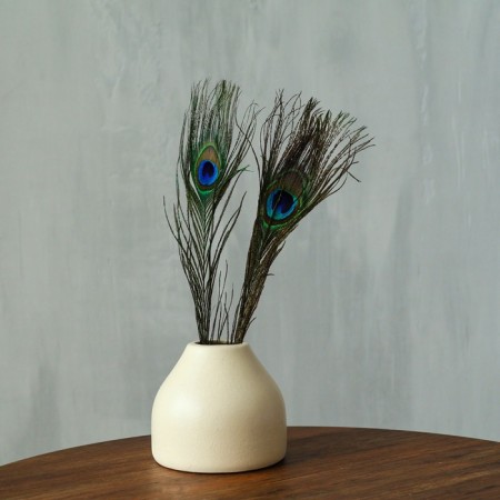 A set of peacock feathers for decor 2 pcs.-3