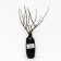Barberis Tunberg "Kelleris" 1 pc, tube, spring 2025