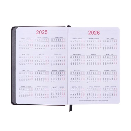 Dated diary 2025, A6+, 176 sheets "Lyon", solid cover, pancake embossing, with liesa, block 80 g/m2, black-6