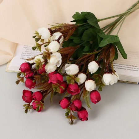 Bouquet "Pelargonium tuliper" 1.5x29 cm, mix-2