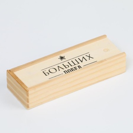 Domino "Great Victories", 28 pcs, 15 x 5 x 3 cm, knuckles 4 x 2 cm-3