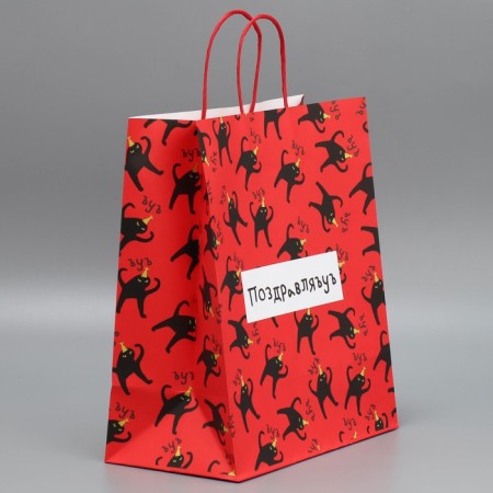 Package Gift Crafts, Packaging, "Congratulations", 28 x 32 x 15 cm-1