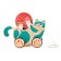Patal Participation "Playful kitten"