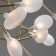 Freya FR5049CL-36G Florencia, 980x980x600 mm ceiling lamp, G4, 36x3W, Color Gold