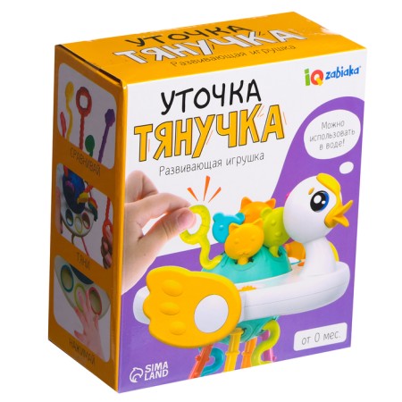 Developing toy "Duck-Tanchka"-8