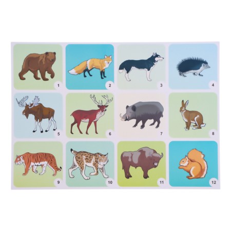 Set of posters "Wild and Pets and Birds" with methodological recommendations, 4 poster 1047263-3