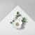 White-green in silver