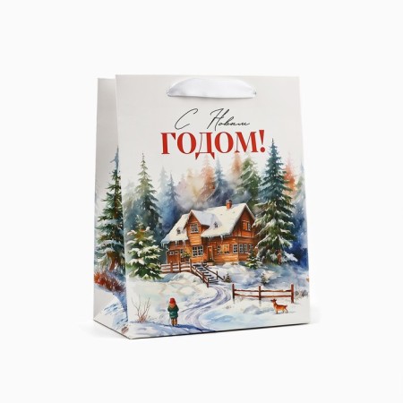 Laminated horizontal "Winter Forest", village, MS 18 x 23 x 10 cm, New Year-1