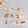 Stickers for creativity "Forest animals" embossing gold set 48 pcs 9x7x0.8 cm