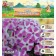 Flox "Bambini Candy Krash" rr I, 2 pcs,