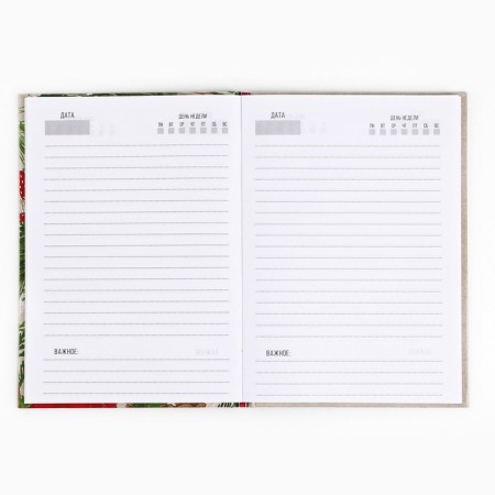 New Year. Classic diary 7BC A5, 80 L “Let the dreams come true! Magic near "-2
