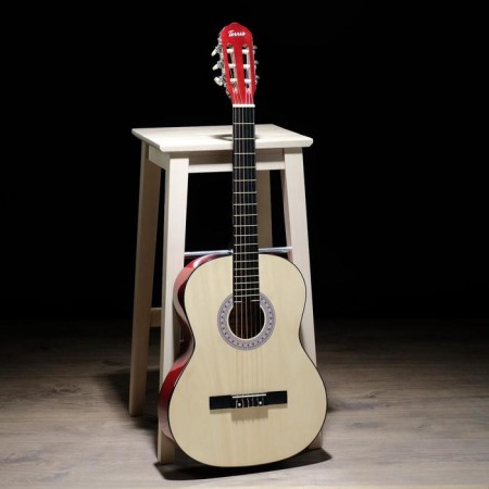 Classical guitar Terris TC-3901A NA