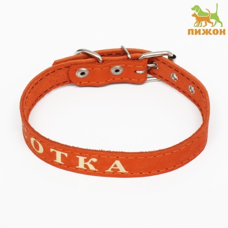 Collar leather single-layer, embossed "beauty", 48 x 2 cm, Osh 32-43 cm, mix of flowers-1