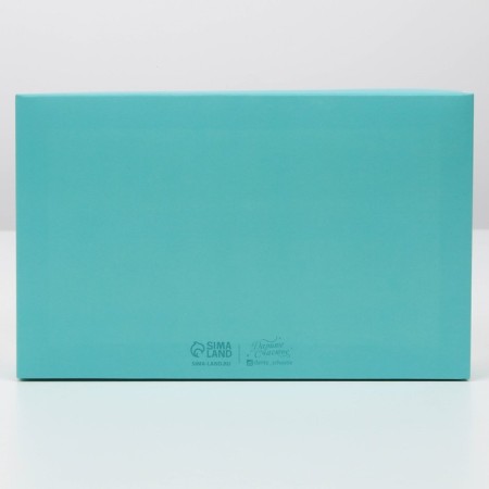 Confectionery box, packaging, Tiffany, 22 x 13.5 x 8 cm-4