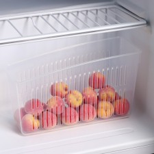 Container for the refrigerator, 24.5 × 9.5 × 14 cm