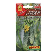 Seeds of cucumber 
