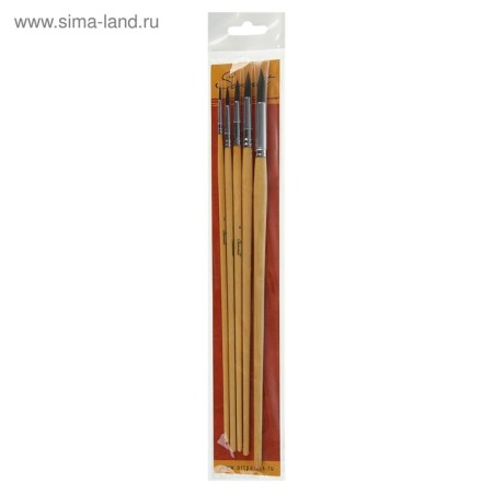 Set of protein brushes 5 pieces, ZHK "Sonnet", No. 1, (Round No. 1; 3; 4; 5; 7), Long pen, 8745468-2