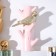 Decorative polystone hooks "Golden bird on the pink branch" 16x5.7x9.7 cm