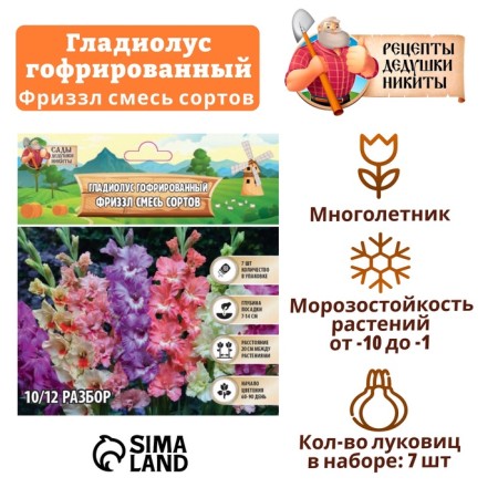 Гладиолус гофрированный (Frizzle) смесь сортов р-р 8/10, 7 шт,