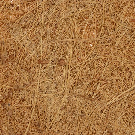 Circle of trunk, D = 0.25 m, from coconut canvas, Greengo-9