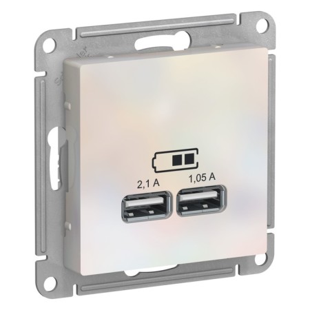 SETLASDESIGN, USB, 2 ports (2.1 a / 1.05 a), 5 V, mechanism, pearl color-1
