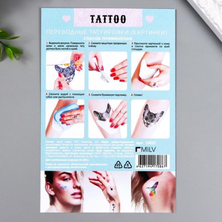 Tattoo on the body "cats" 10x15 cm-2
