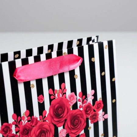 Gift laminated package, packaging, GIFTS, 22 x 17.5 x 8 cm-2