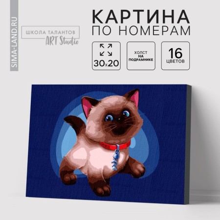 Picture on numbers on canvas with a subframe "Siamese kitten" 20x30 cm