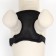 Slut is soft made of neoprene, size XL, Osh 42 cm, OG 38-50 cm, black