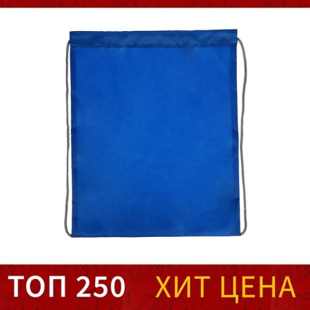 A bag for shoes 420 x 340 mm, calligrata "standard", (soft polyester, density 210 d), blue