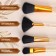A set of makeup brushes, 12 objects, case, color mix