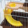 A cage for rodents "Pigger", equipped, 27 x 21 x 26 cm, brown
