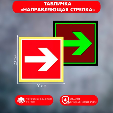 Signs Guide Strelka "Photoluminescent base" 200 × 200