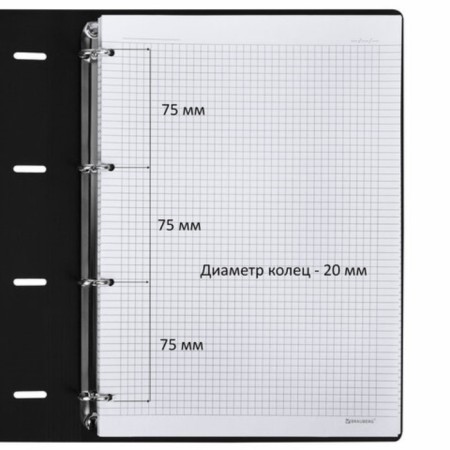 Notebook on A4 Rings 120 LK BRAUBERG VISTA, Grenades, Region Kozh, BL 70 g/m2-7