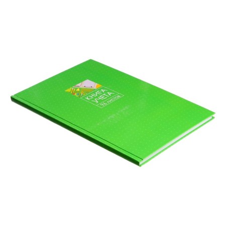 Book of accounting, 96 sheets, cardboard cover 7BC, newspaper block, line, green color-1