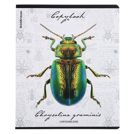 Notebook of 48 sheets in the Erichkrause "Beetles", matte lamination, an offset block 100%, mix-4