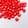 Round 6/0 beads in the bottle "red" transparent-color 20 g