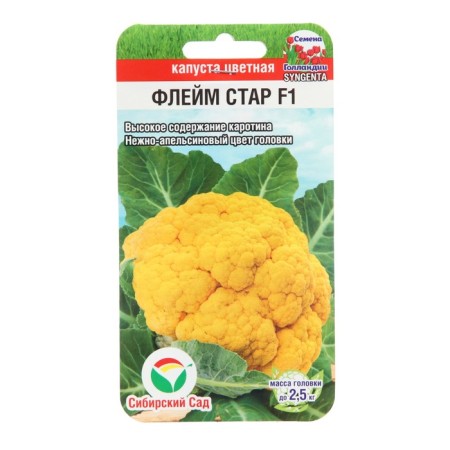 Seeds Cabbage Color "Flam Star", 10 pcs.