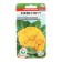Seeds Cabbage Color "Flam Star", 10 pcs.