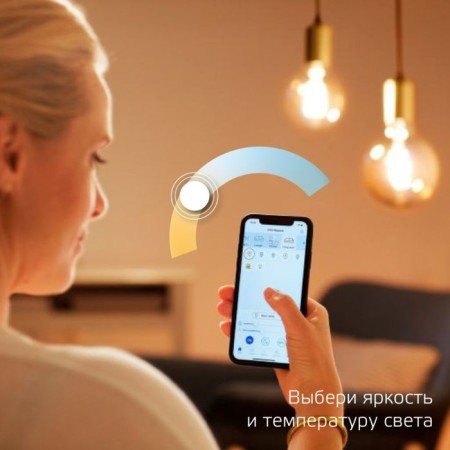 Smart lamp Gauss Iot Smart Home E27 6.5W 806lm Wi-Fi (Pack.: 1pc) (1220112)-3