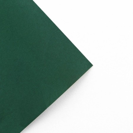 Paper packing glossy bilateral "Tropics", 70 x 100 cm-2
