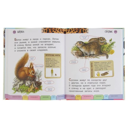 All animals with large letters. Ananieva E. G.-3