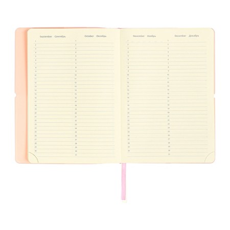 Diary of Leduced A5 136 DEVENTE sheets. Jane, soft pvc cover, elastic band, perforation, liesse, block 70, pink-11