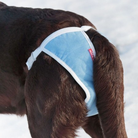 Panties for dogs reusable OSSO Absorb, size XXS-1