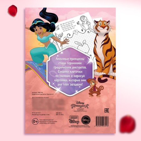 Graphic dictations, 24 pages, 17 × 24 cm, princesses-4