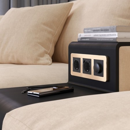 Frame W0032611, 3 Platinum sockets, champagne-3