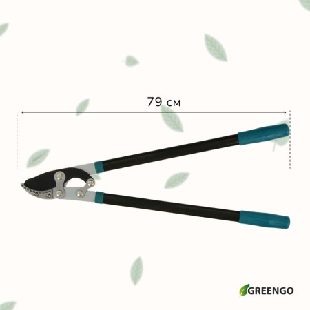 Badkorez, professional, 31 "(79 cm), mix, Greengo-5