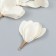 Decor for creativity textiles "Bun, gradhenia color" set 6 pcs 6 cm