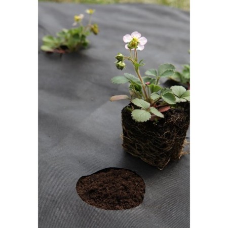 Mulching material, with perforation, 10 × 0.8 m, density 60 g/m², with UV stabilizer, black-2